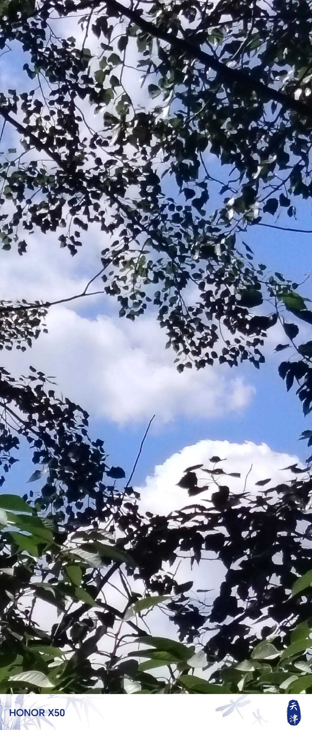 站在那儿，整个人都像浸在诗里似的～