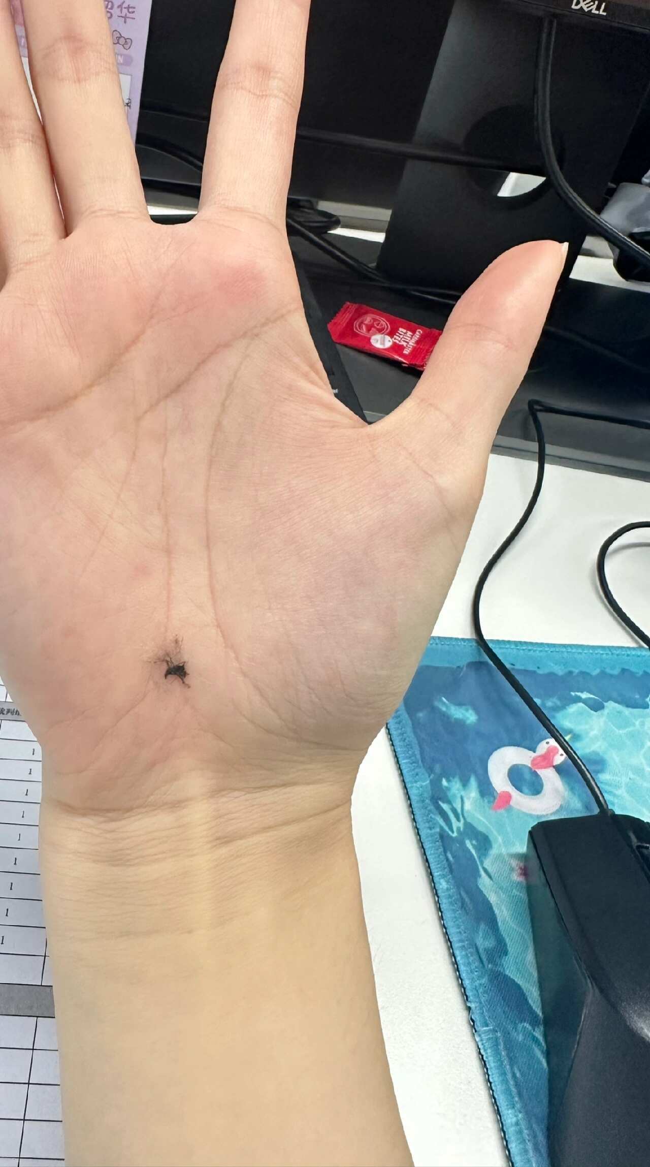 上班牛马都要会的技能办公室真是个宝地，还榨血 好极了 