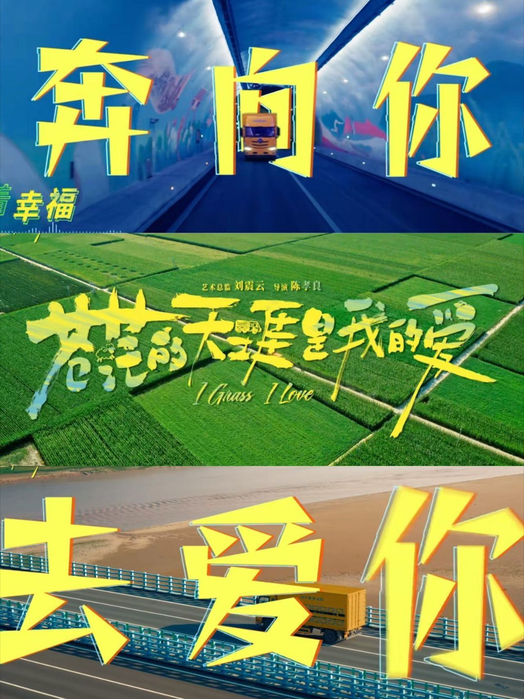 苍茫的天涯是我的爱今日上映  曾毅《苍茫的天涯是我的爱》今天上映并且还发布了主题