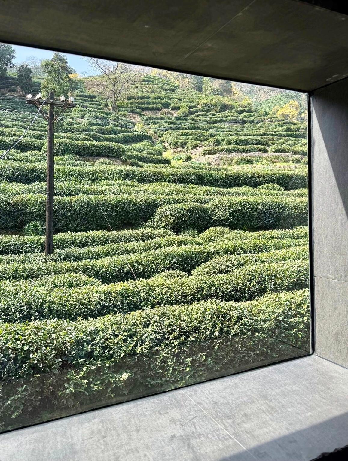 我见过太多人，把“能花钱解决就别费劲”当成人生捷径，结果活成了一个付费型逃避者我