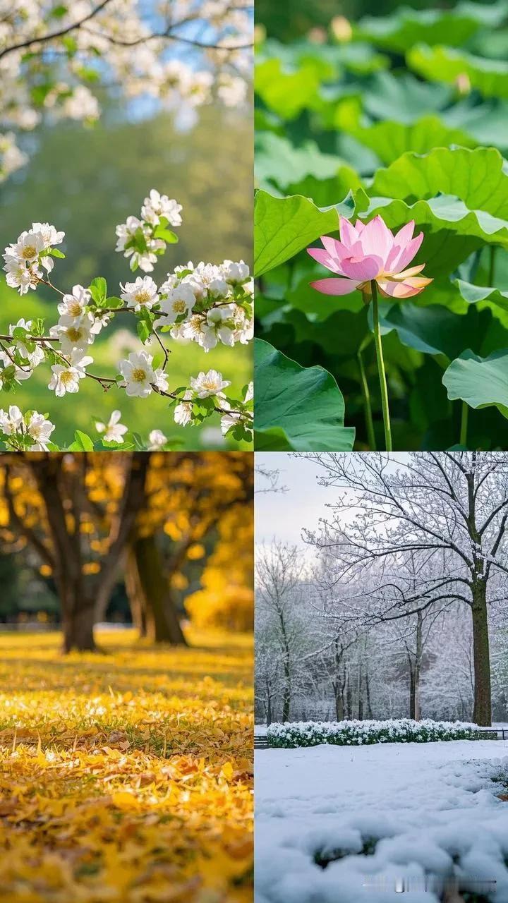 四季之景
春临大地生机漫， 翠色盈眸映碧天。 繁花似锦织锦缎， 细水涓涓绕翠峦。