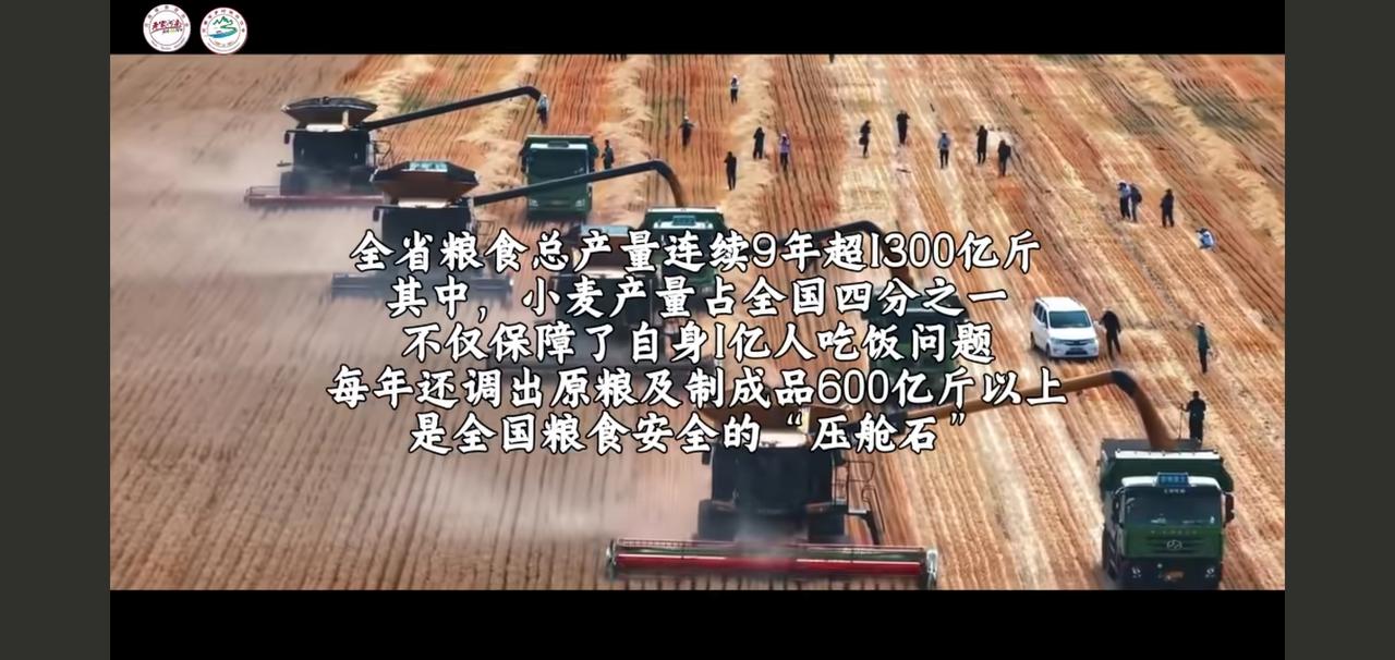 河南，堪称宝藏省份！它承载千年文脉，全国八大古都中独揽四座。更厉害的是，它坐拥天