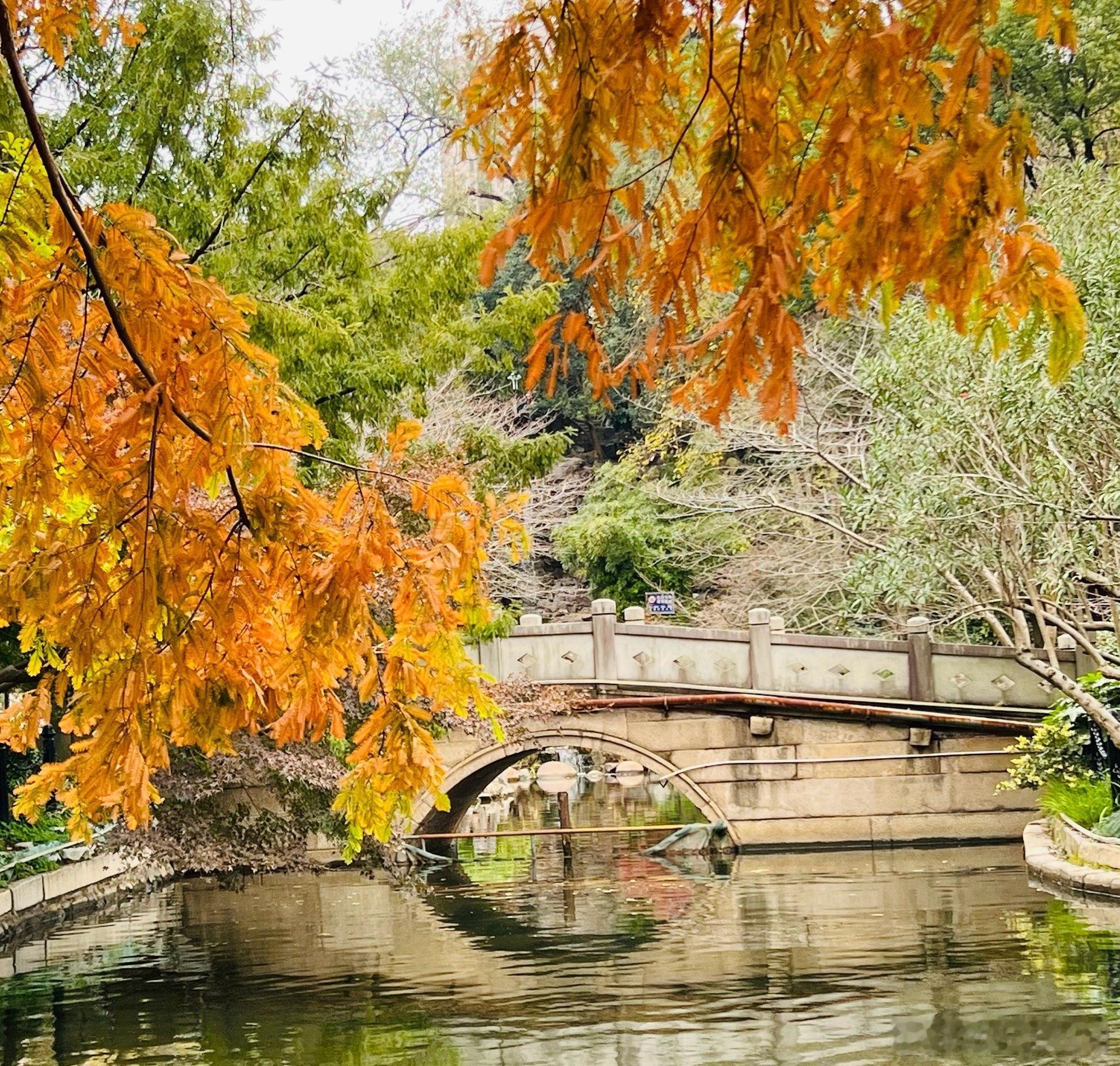 人生的许多痛苦，其实是心被“看不透、舍不得、输不起、放不下”这四重枷锁困住的模样