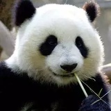 土柱热谈国内