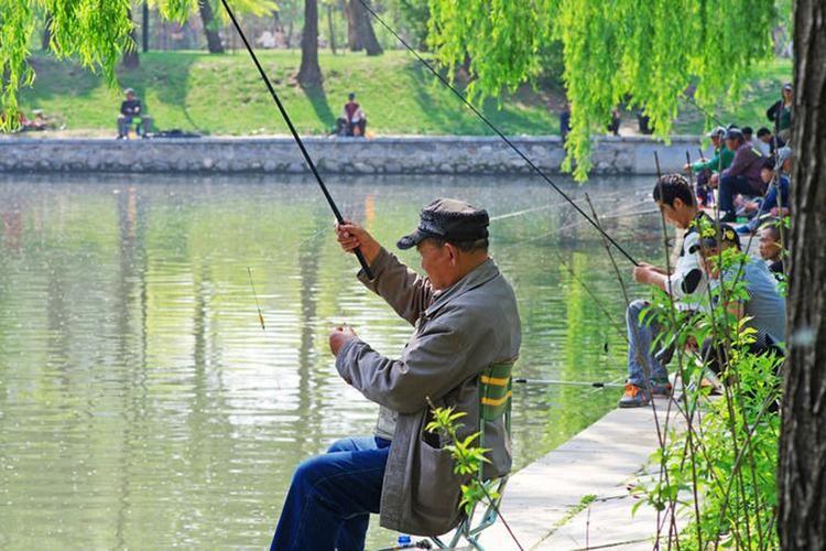 我老爹不用我们任何人陪他唠嗑，自己天天早上起来了，出去遛弯然后在早餐店吃饭，紧接