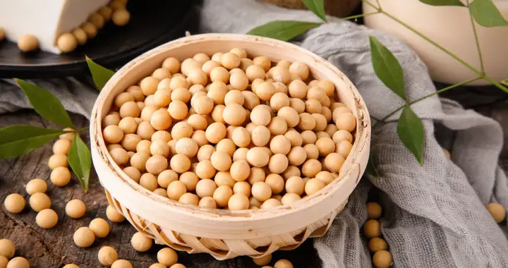 胃不好的人不能吃大豆？大豆是甲状腺的“发物”？这5个真相，打破你的认知！