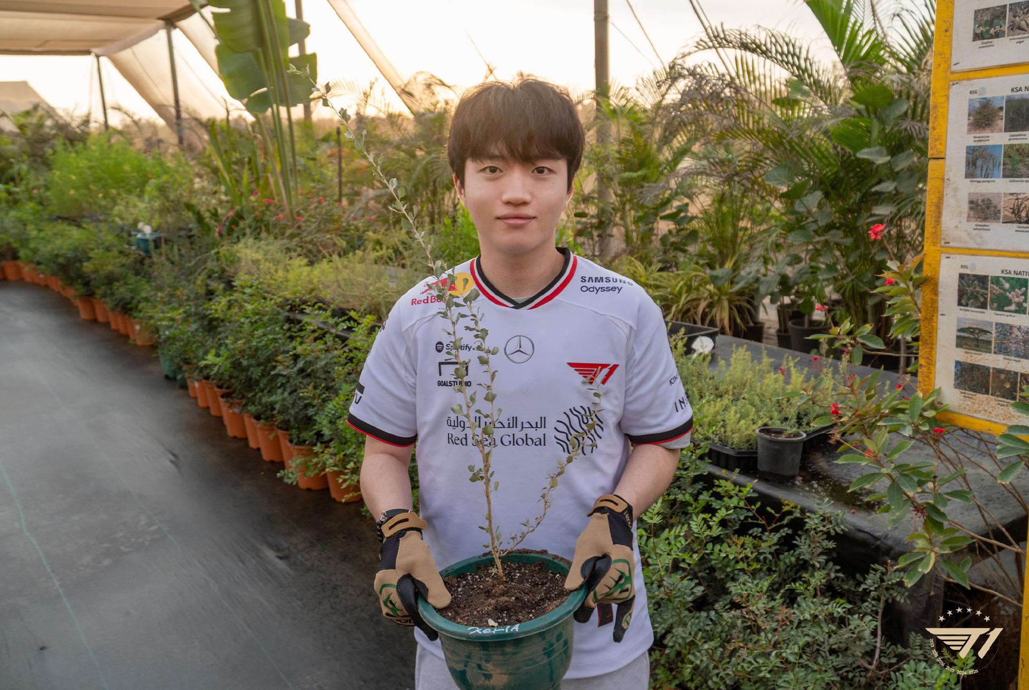 体验园丁的日子，T1分享沙特度假返图第三弹