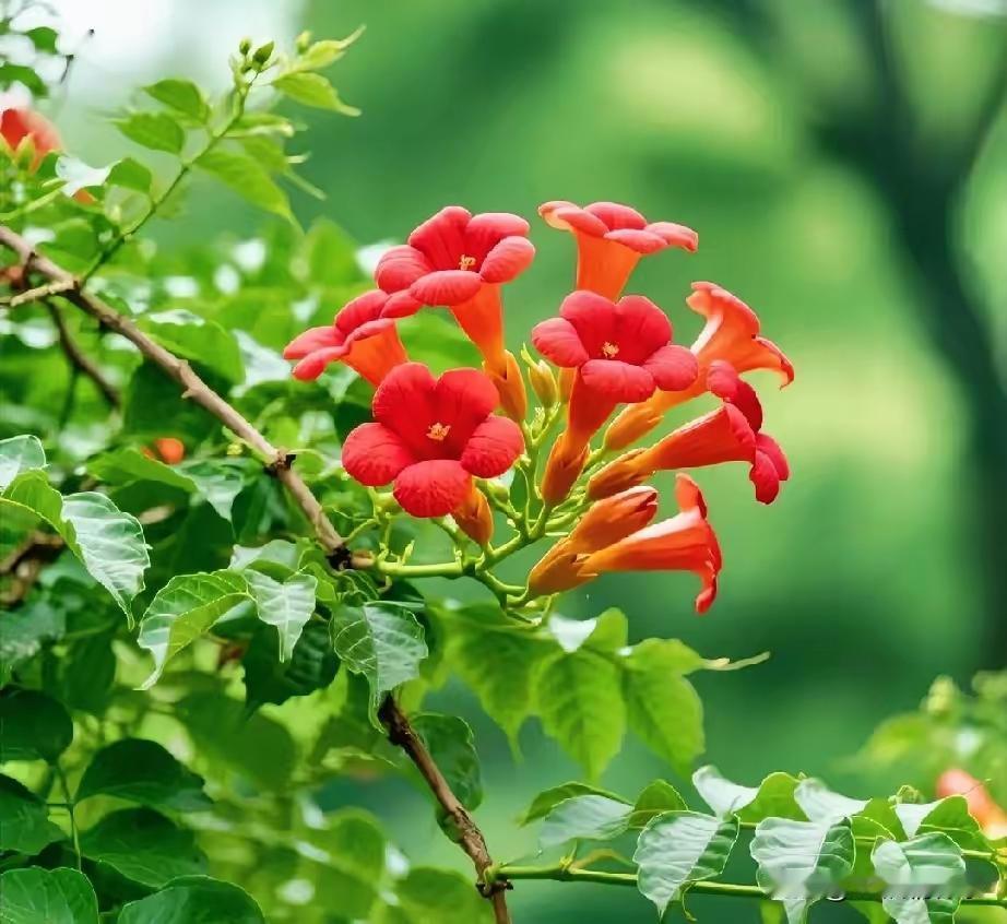 下周值得关注的潜力个股探讨！
周五美股交易时段，存储芯片板块下跌，而软件开发、半