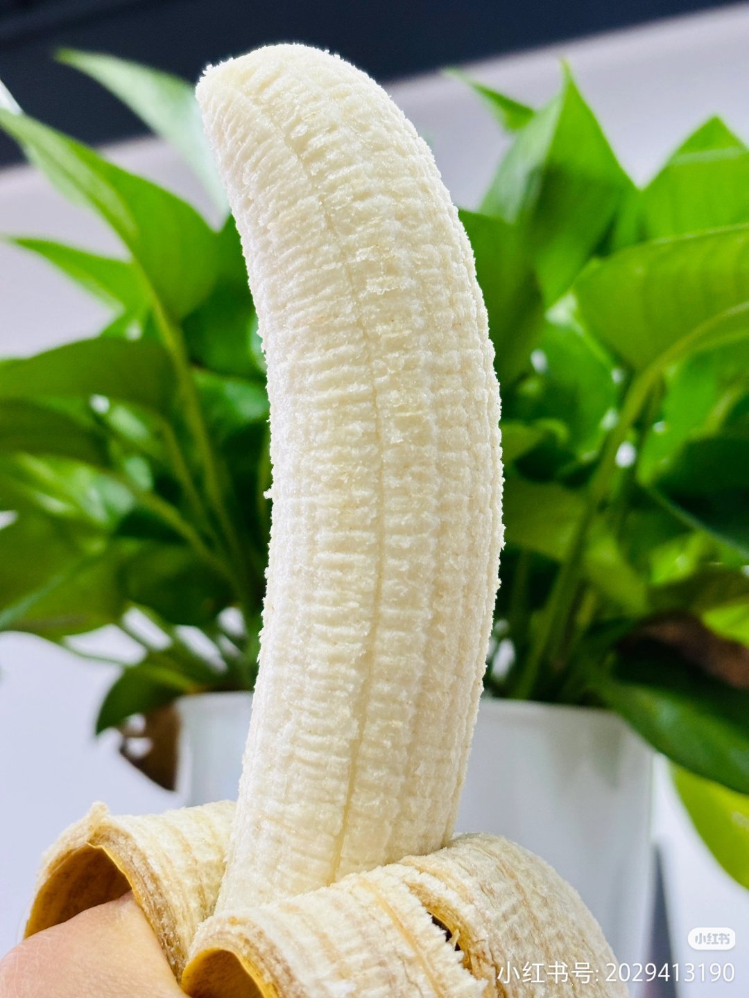 香蕉真的自带贴心属性！熟度一眼就能看明白，不用吐籽不用收拾果皮残渣，饿了垫肚子、