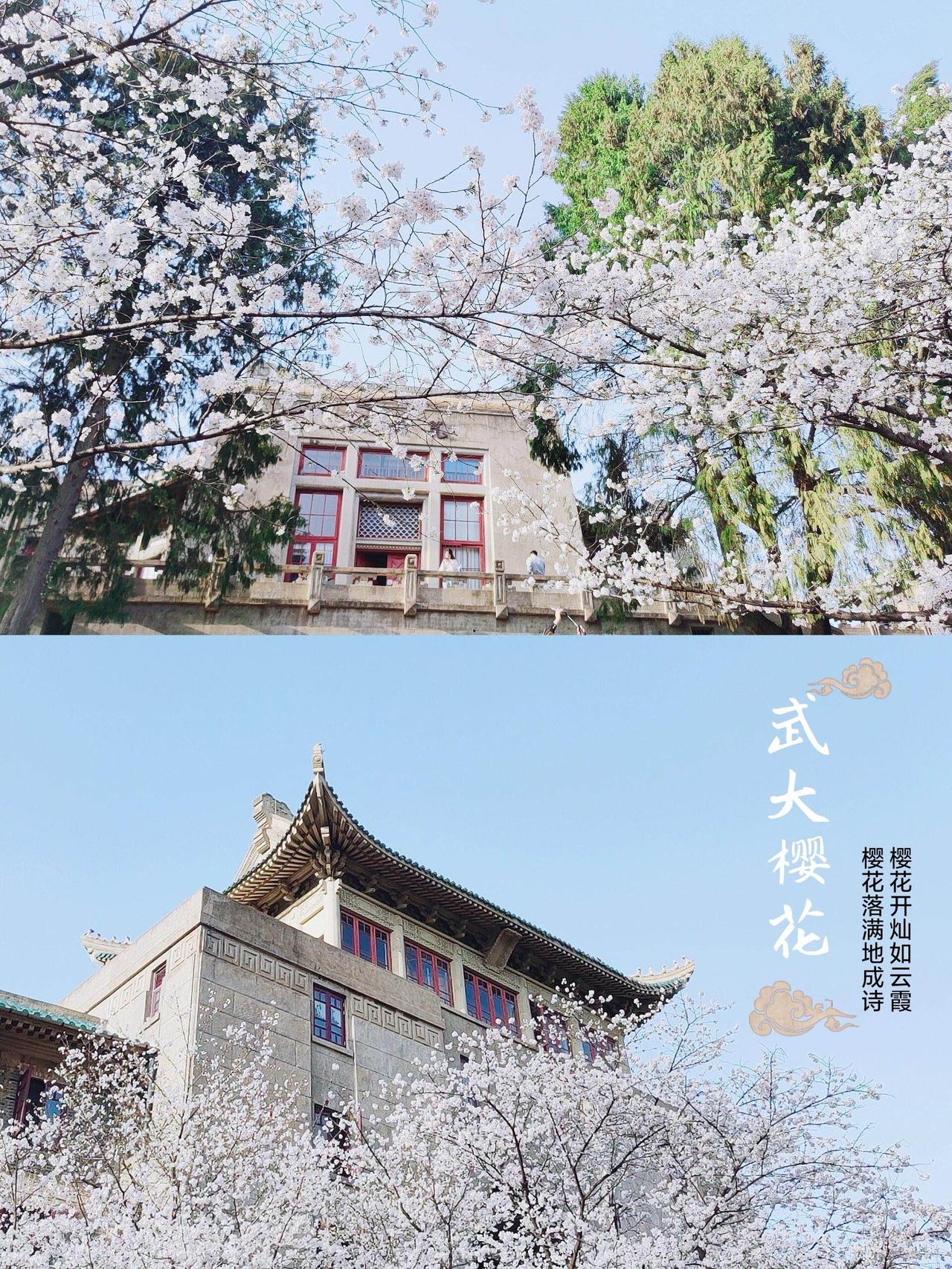 武汉，是高山流水觅知音的千年琴台，是首义枪声启新篇的红色热土。这座英雄之城，从大