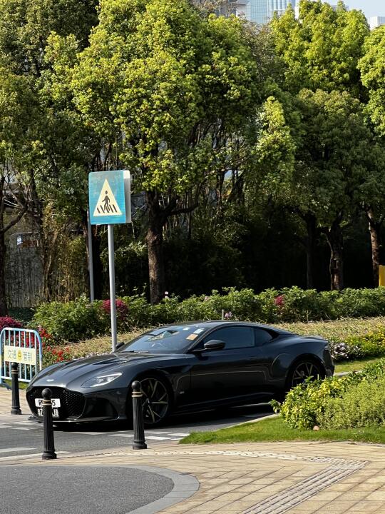 深圳湾不愧是顶级富人区真的是豪车遍地！