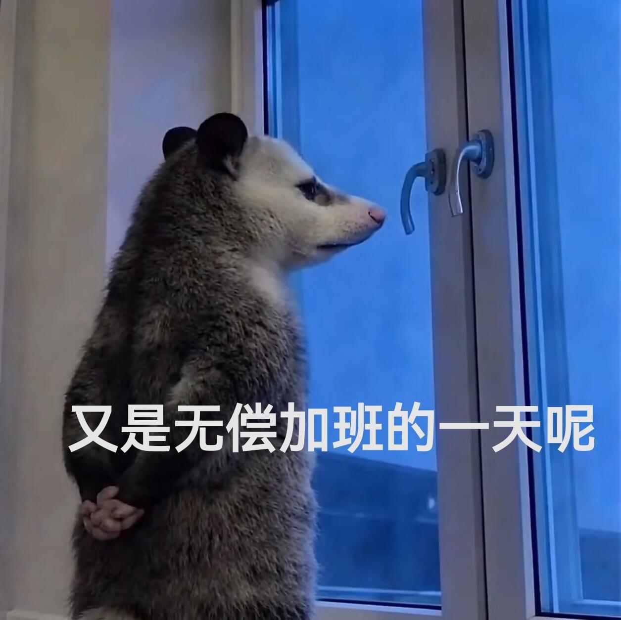 还在办公室……不知道为了什么 每个月几千块心好累~ 