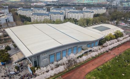 2026年高考，南京林业大学到底多少分能上？王牌专业值不值得冲？
今天咱们把南京