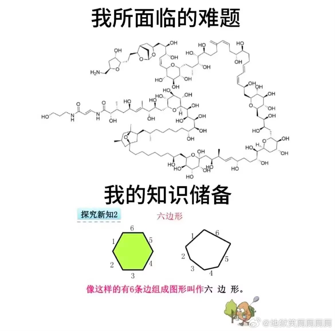 1293每天我要面临的难题 
