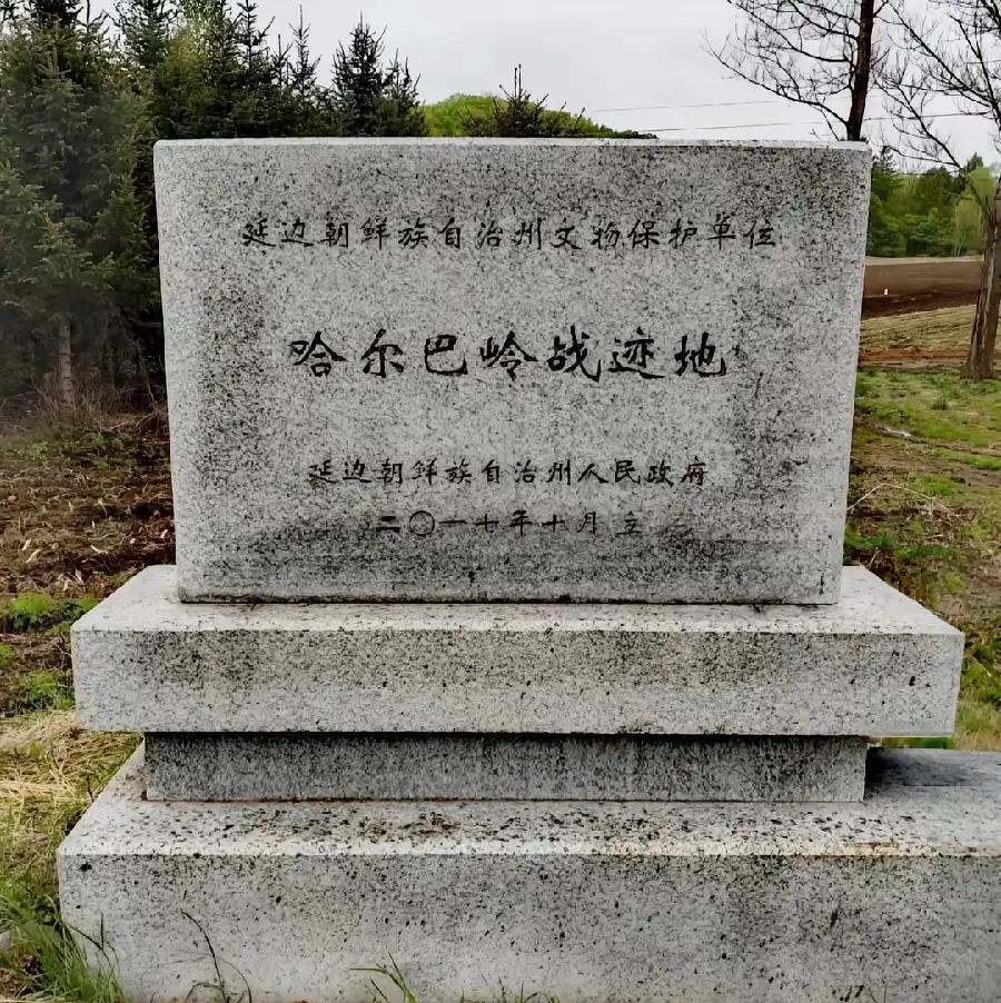 4号日本在华处理遗留化学武器的两名工作人员意外中毒事件登上热搜，因此很多人才了解