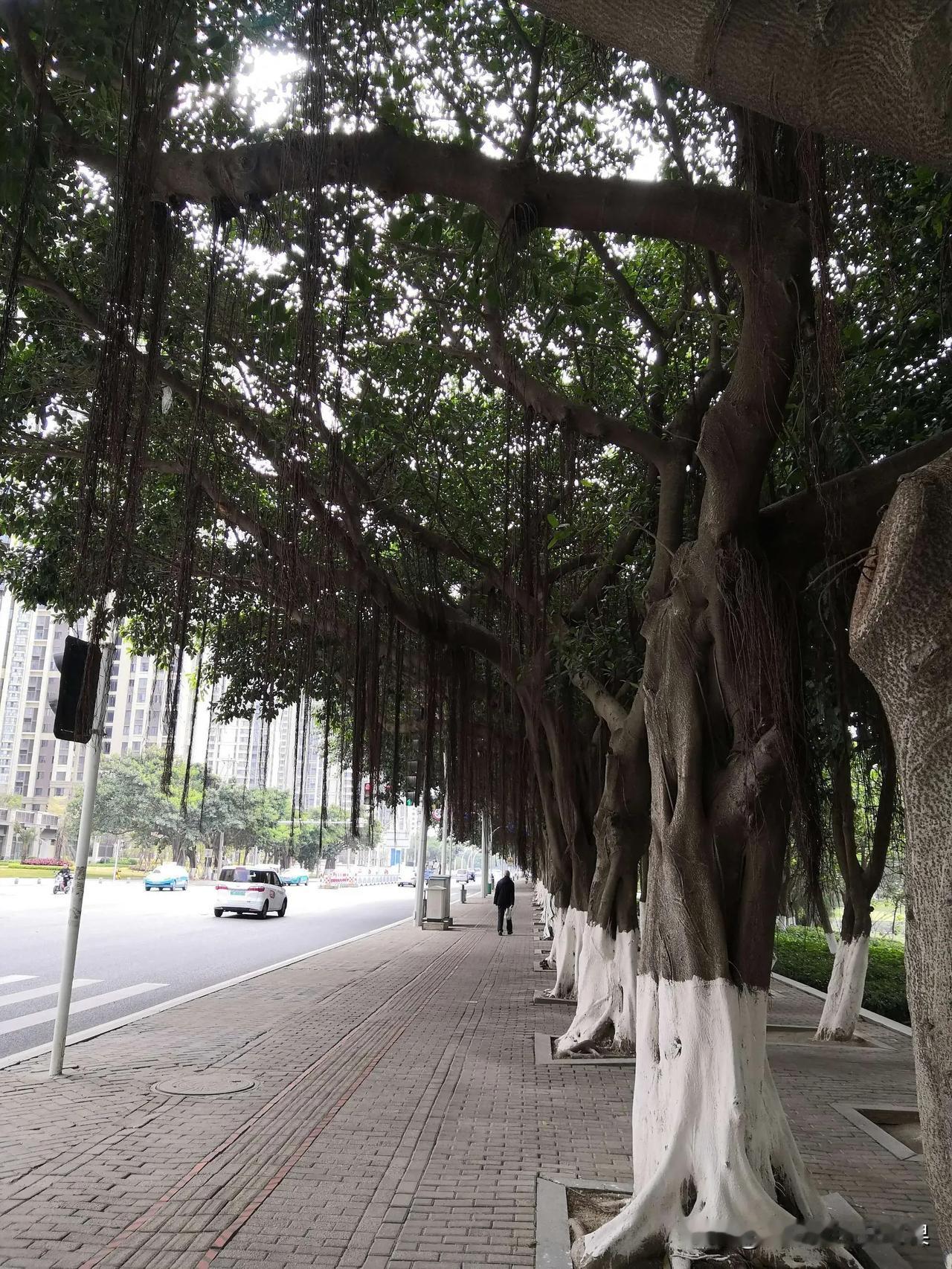 中国的一线城市有哪些？

1、北京

2、上海

3、广州

4、深圳

5、杭