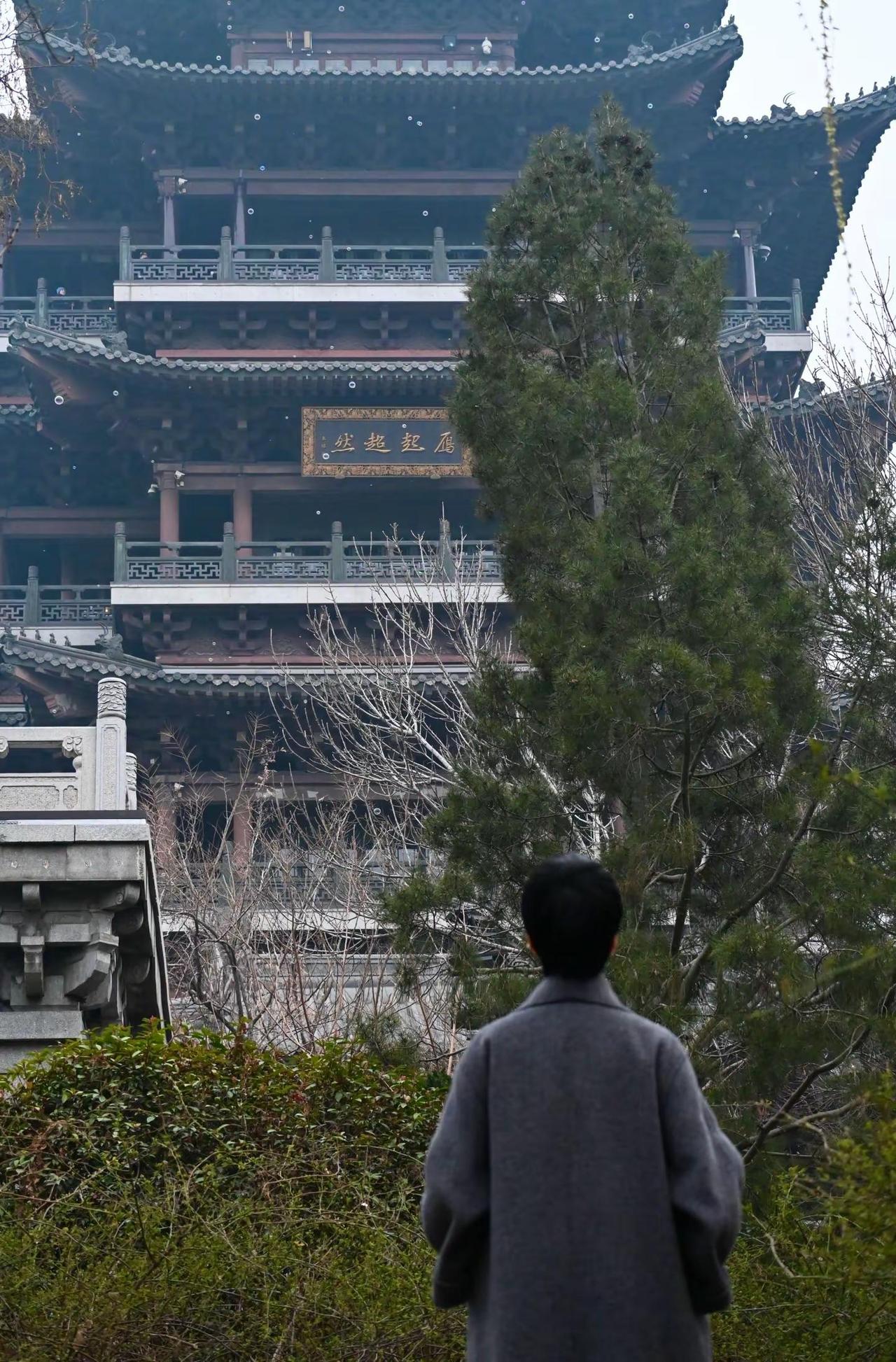 风有风的急切，草有草的缓步，加油吧，老己！