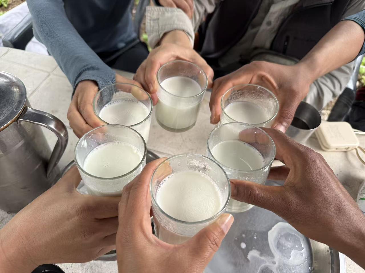 没喝过这么好喝得牛奶，真正的鲜牛奶，鲜牛奶啊！太好喝了！