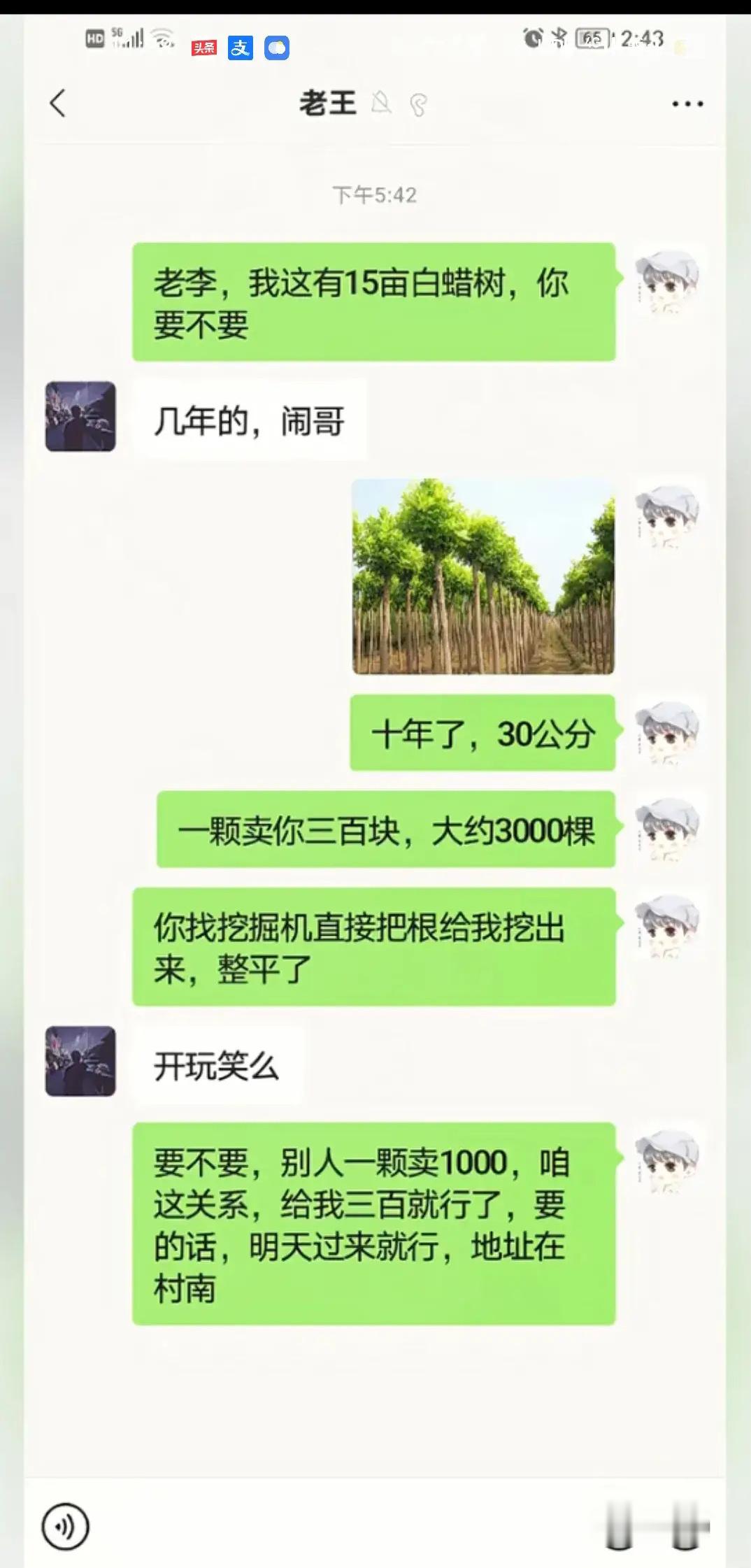 你拿我当傻子么！ ​​​