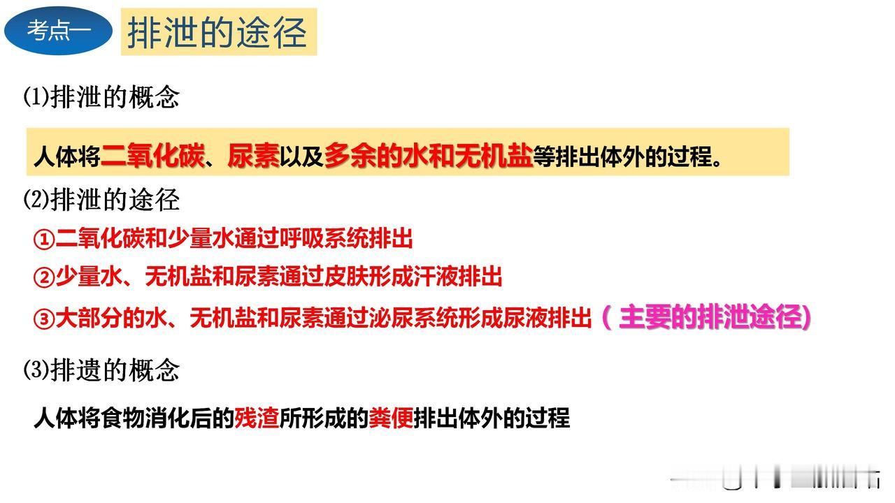 七年级生物期末抢分必备！人体废物排出核心考点图文精编（速领）！