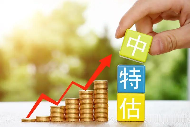 市盈率估值有什么不好？
       市盈率估值最容易踏入的误区，便是只盯着表层