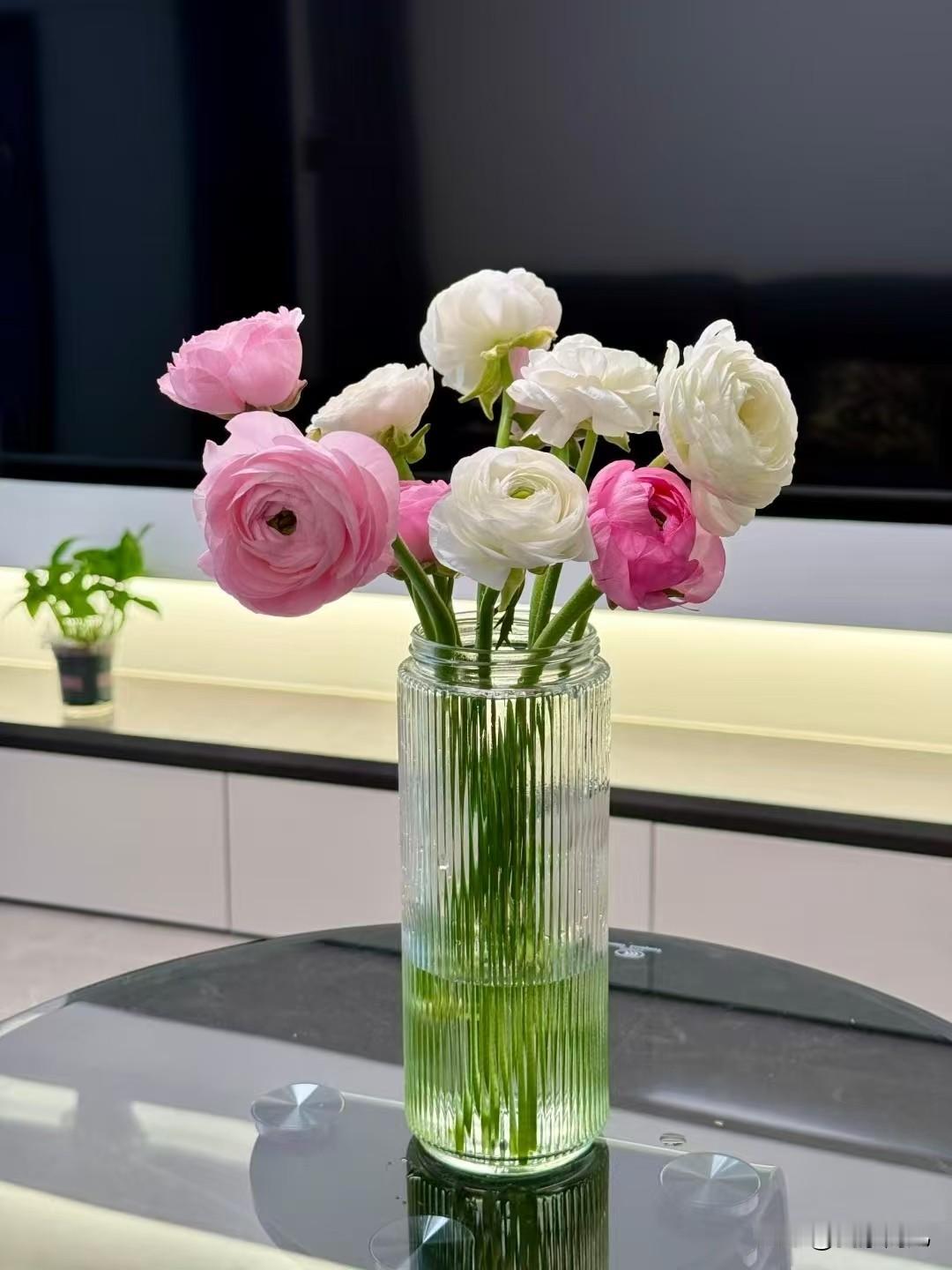 要做一个积极向上的人，
我们的生活热烈而明亮，
读美好的句子，
看见阳光的人，