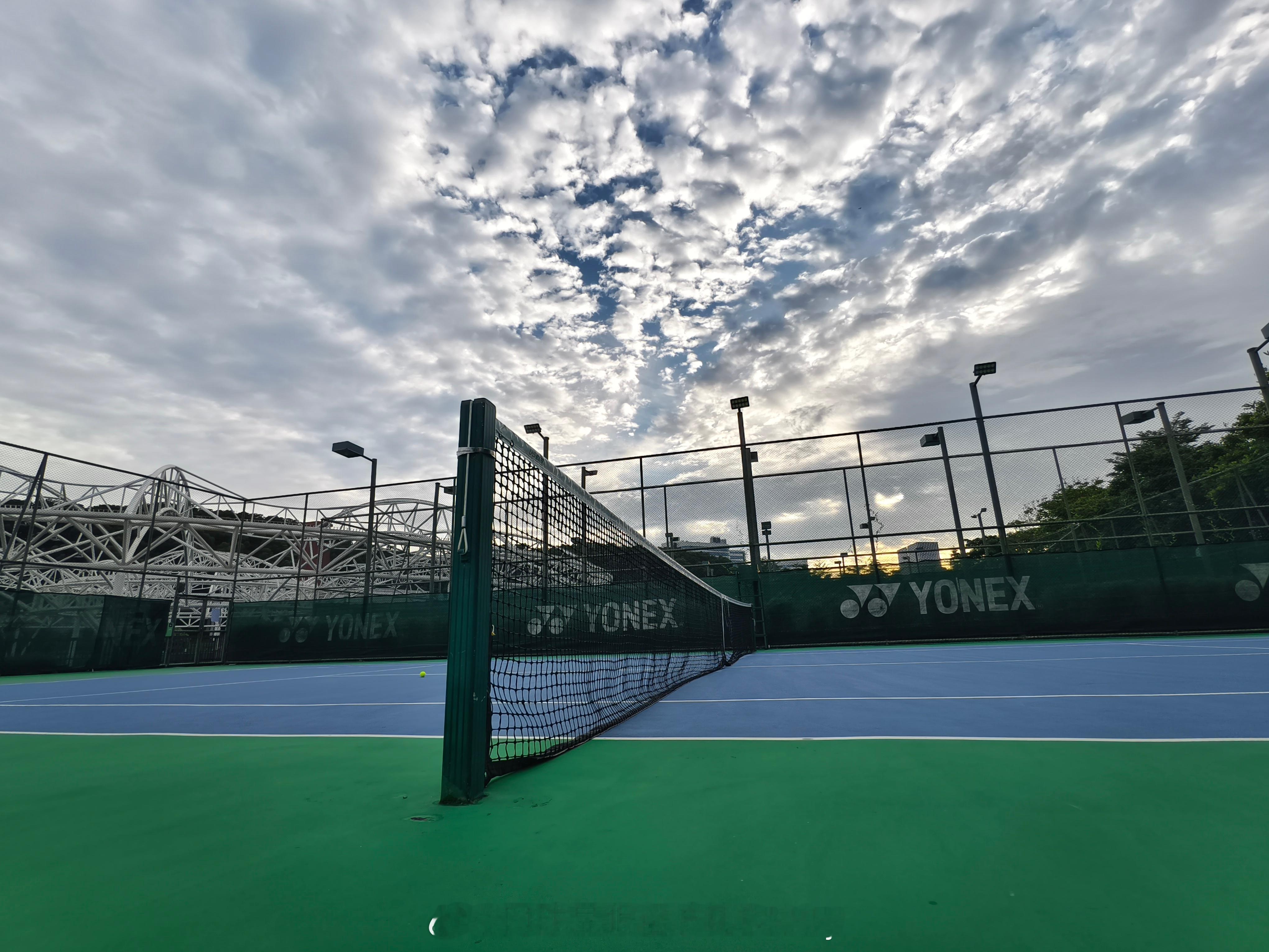 雨后夕阳🎾波比的网球世界网球网球显眼包波比Bobby