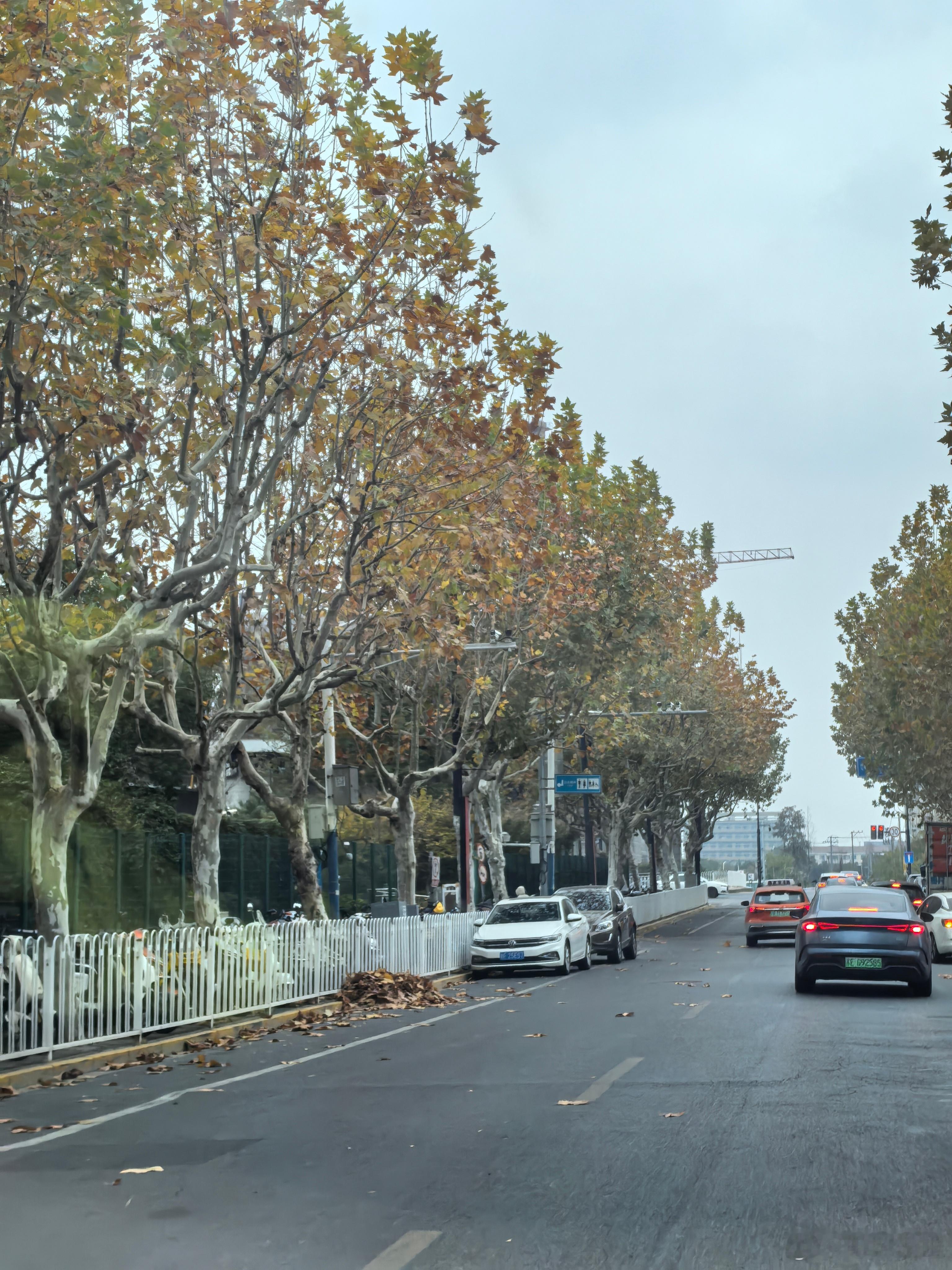 C+轮融资后估值达60亿美元（约425亿人民币），股东包括丰田、奔驰、上汽、通用