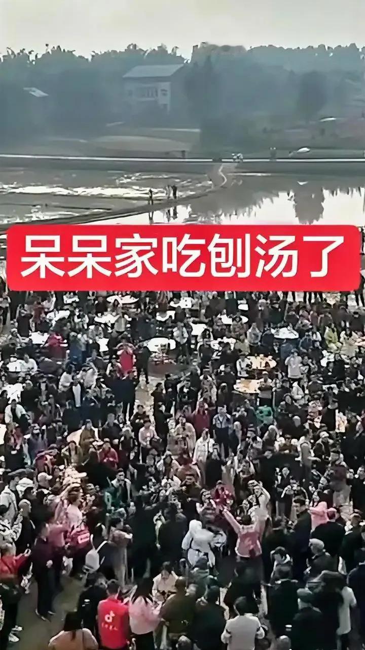 这是我见过的21世纪最伟大的杀猪盘，以后把每年的1.11日定为合川杀猪节，正好3