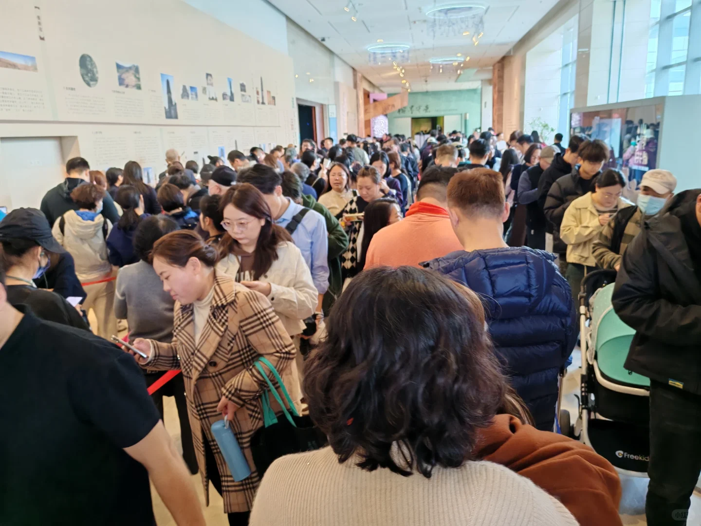 辽博排队一个半小时看《瑞鹤图》