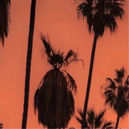 生活手记  人生最大的遗憾不是错，而是遇见了不能拥有。 