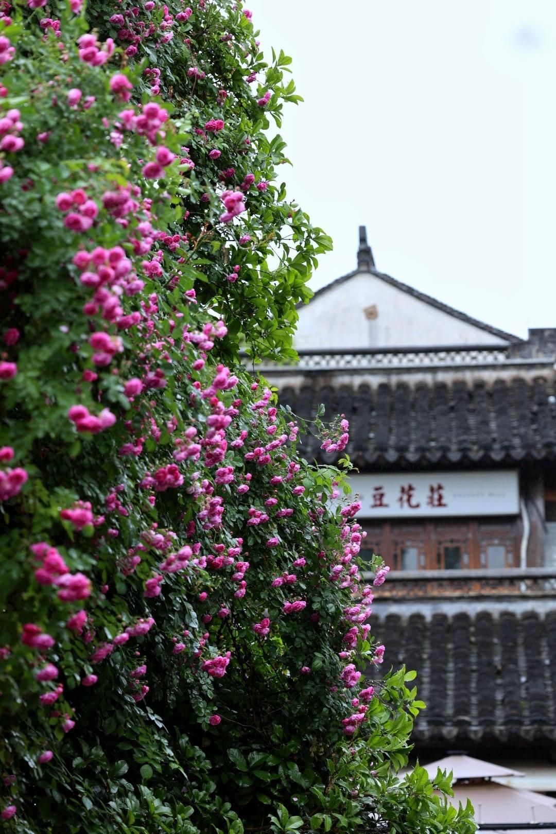 父母对孩子的影响着实极为重要。之前我们带过一个学生，这学生来自南京四大名校之一，