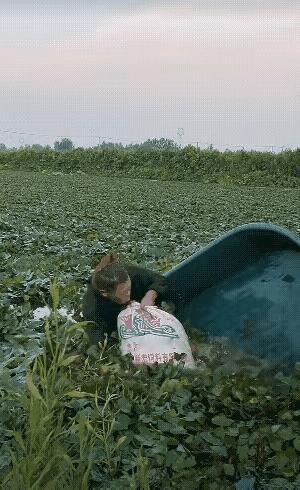 真危险
要不是旁边有人的话
后果难以想象啊