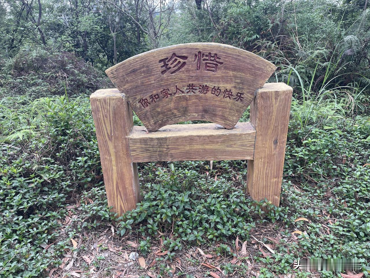 有感：珍惜你和家人共游的快乐！

   最近张老师的事，让人感慨万千，说起来虽然