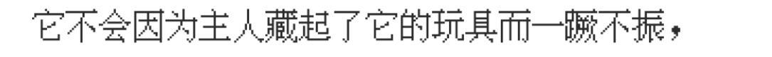 有时候觉得狗是高阶生物 懂得爱 不内耗 影响周围的人类成为更好的人 