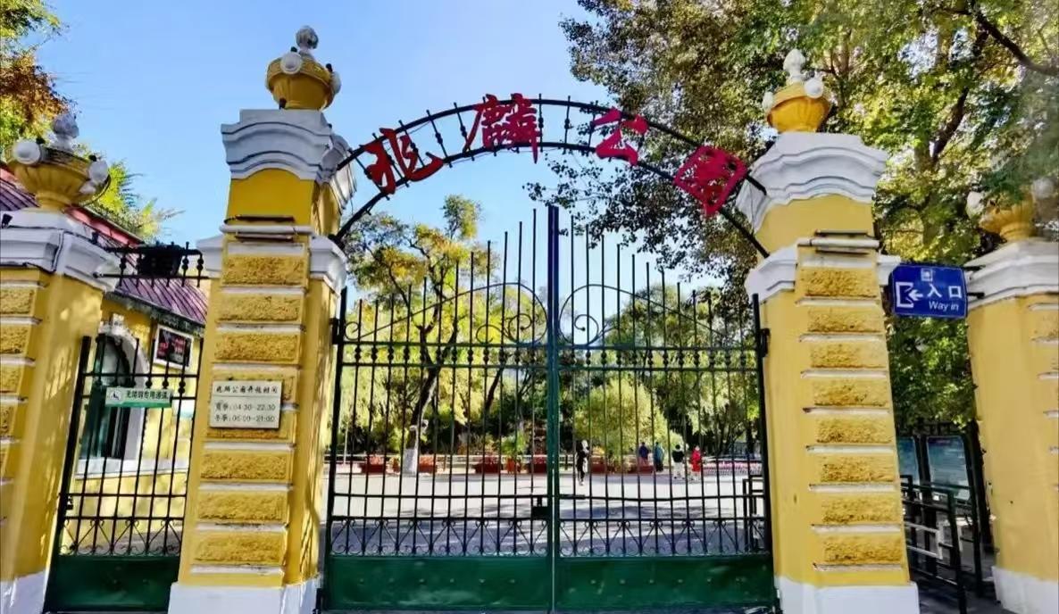 本地人怀旧宝地兆麟公园！哈尔滨本地人小时候基本都来这儿拍过冰灯照，从1963年开