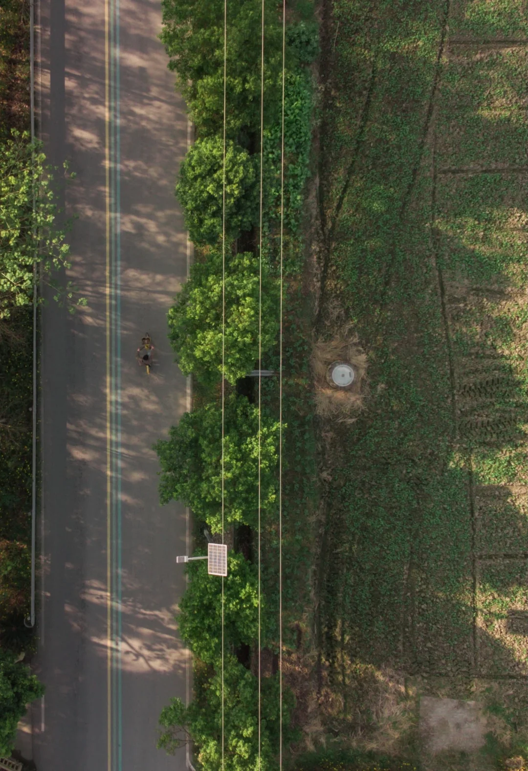 回到小时候、新都乡村绿道10公里骑行攻略