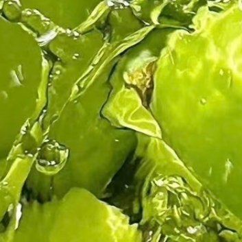0001青提的种植方法一、土壤选择在种植青提时需要选择合适的土壤。种植青提时，可