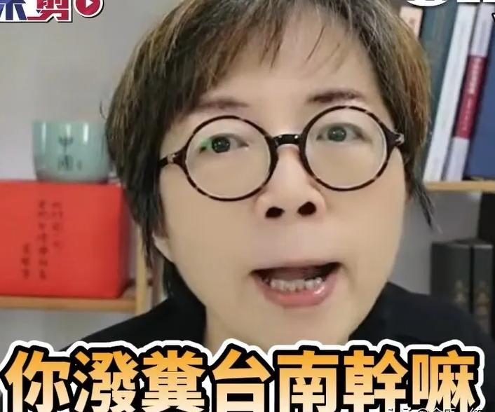 媒体人黄智贤:不该往台南泼粪让台南背锅

22日上午，岛内媒体人赵少康到台中探视