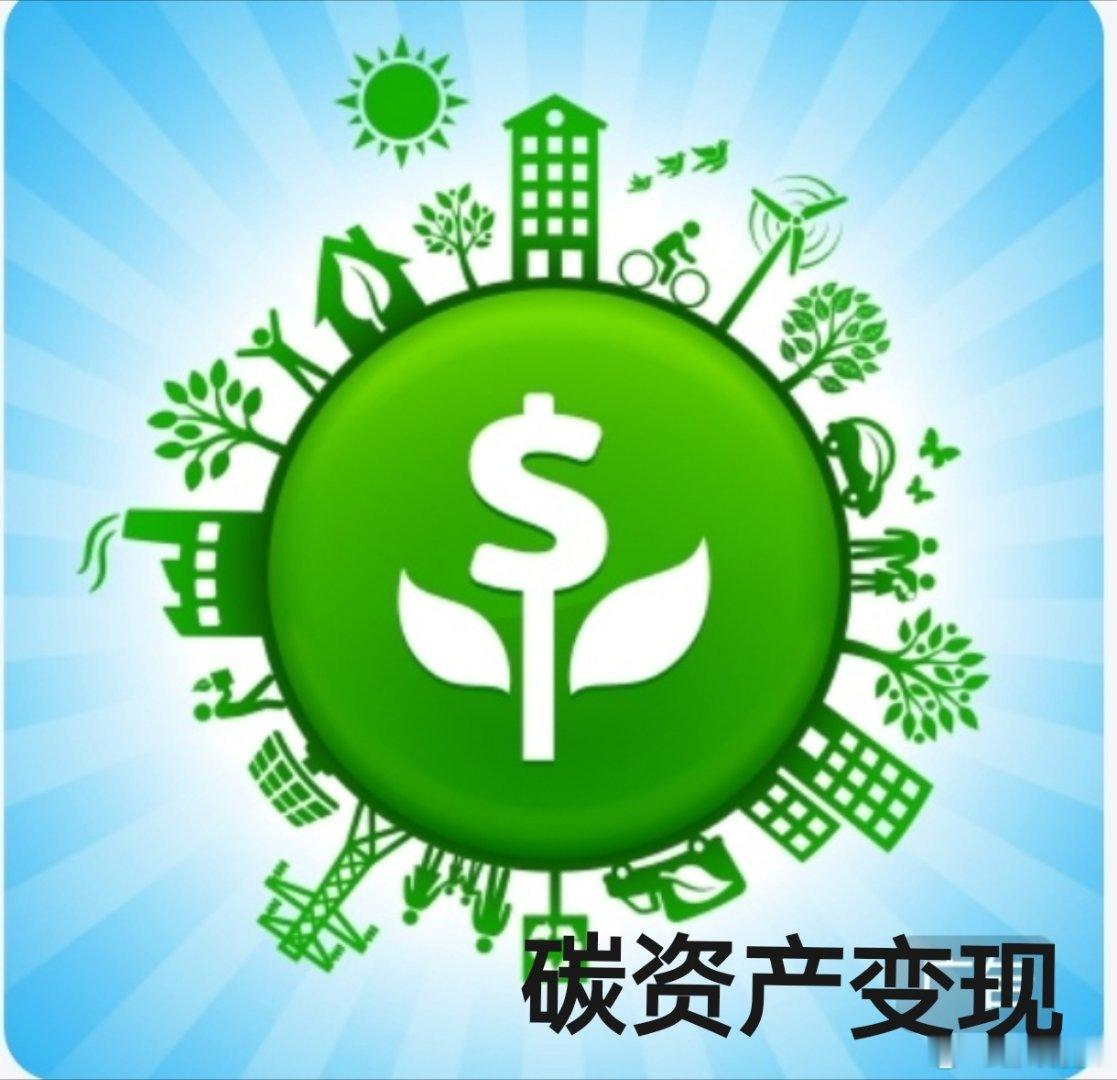 彭晓勇说《碳资产变现完整步骤》随着双碳战略的进一步落实，碳资产会成为未来30年的