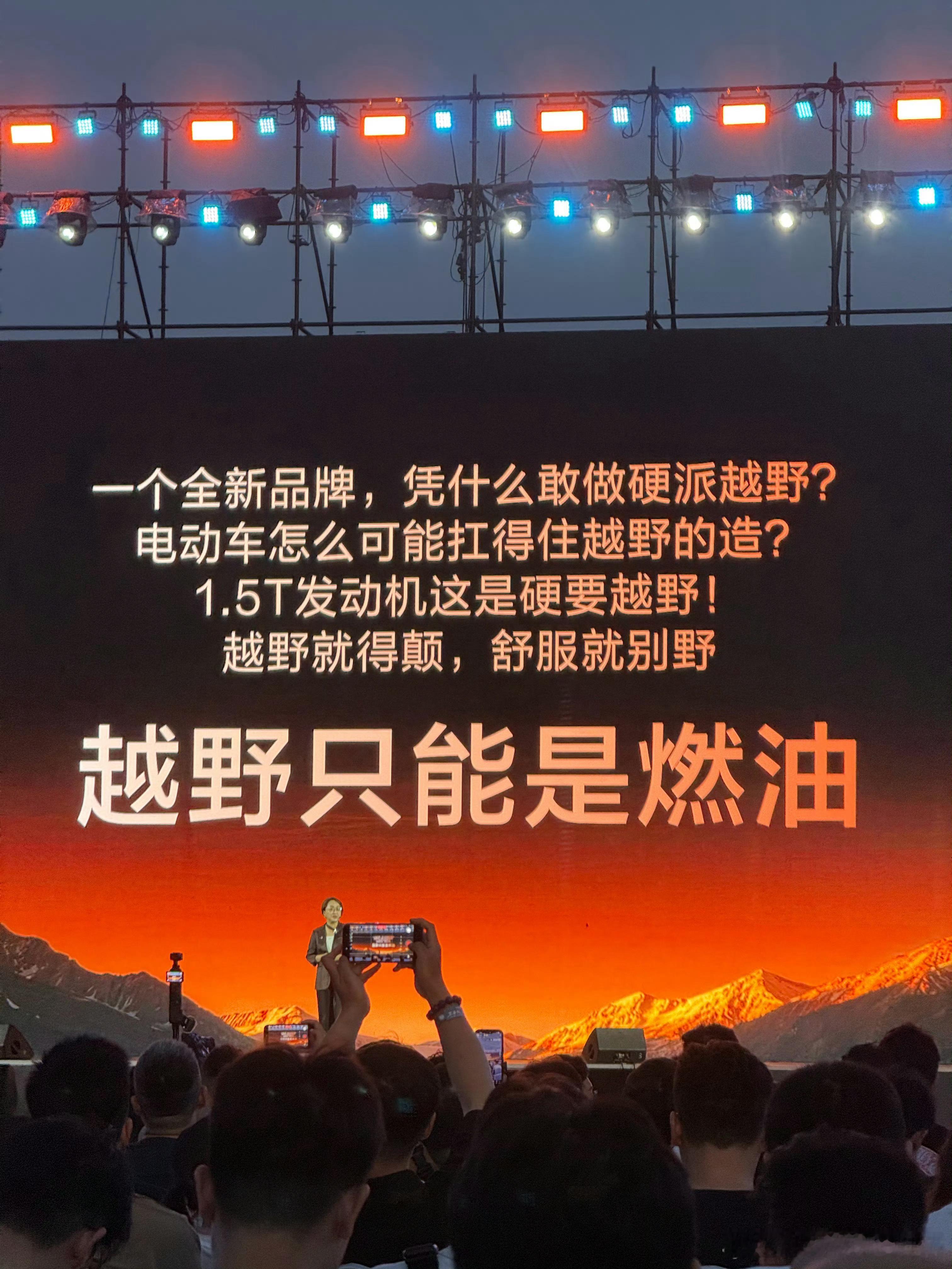 网瘾小的都不知道比亚迪在说什么