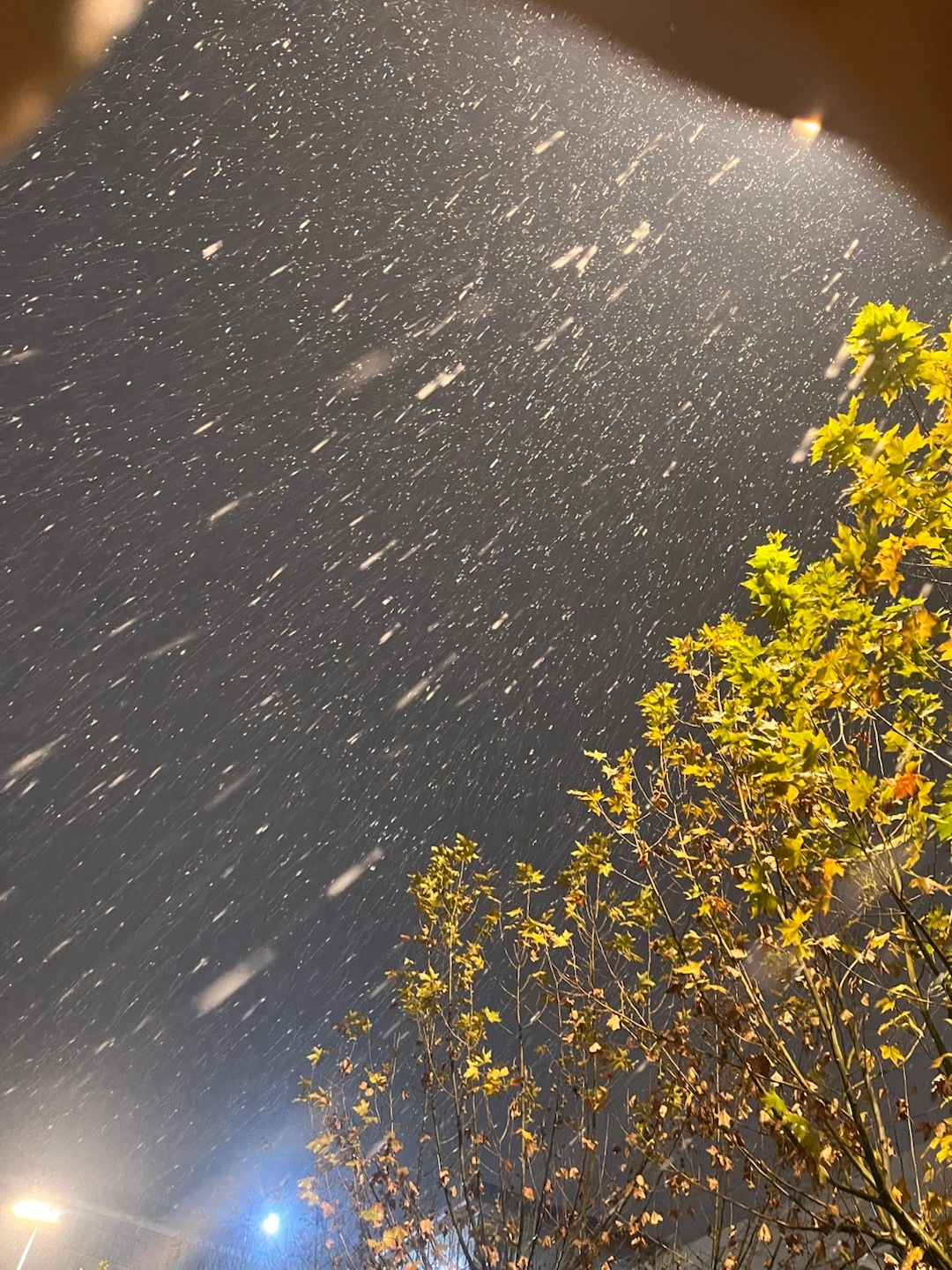 漫天 飞雪 而我心冷却❄️ 