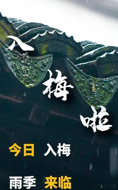 今日入梅，有空没空，记得：1不上、2不提、3不怒、4要做
 
2026年6月11