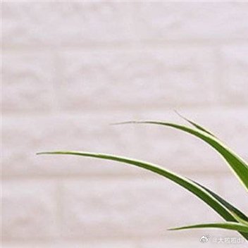 放慢脚步  ･ᴗ･感受生活∂є慢节奏☕️feel sooooo soft✨✨💜