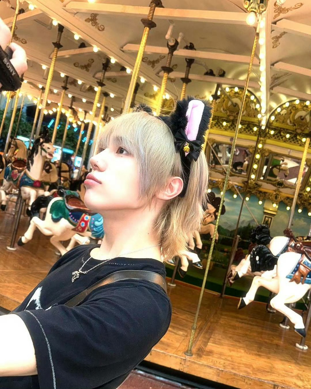 【那年今日】250729有只猫来玩了=^･ｪ･^= 