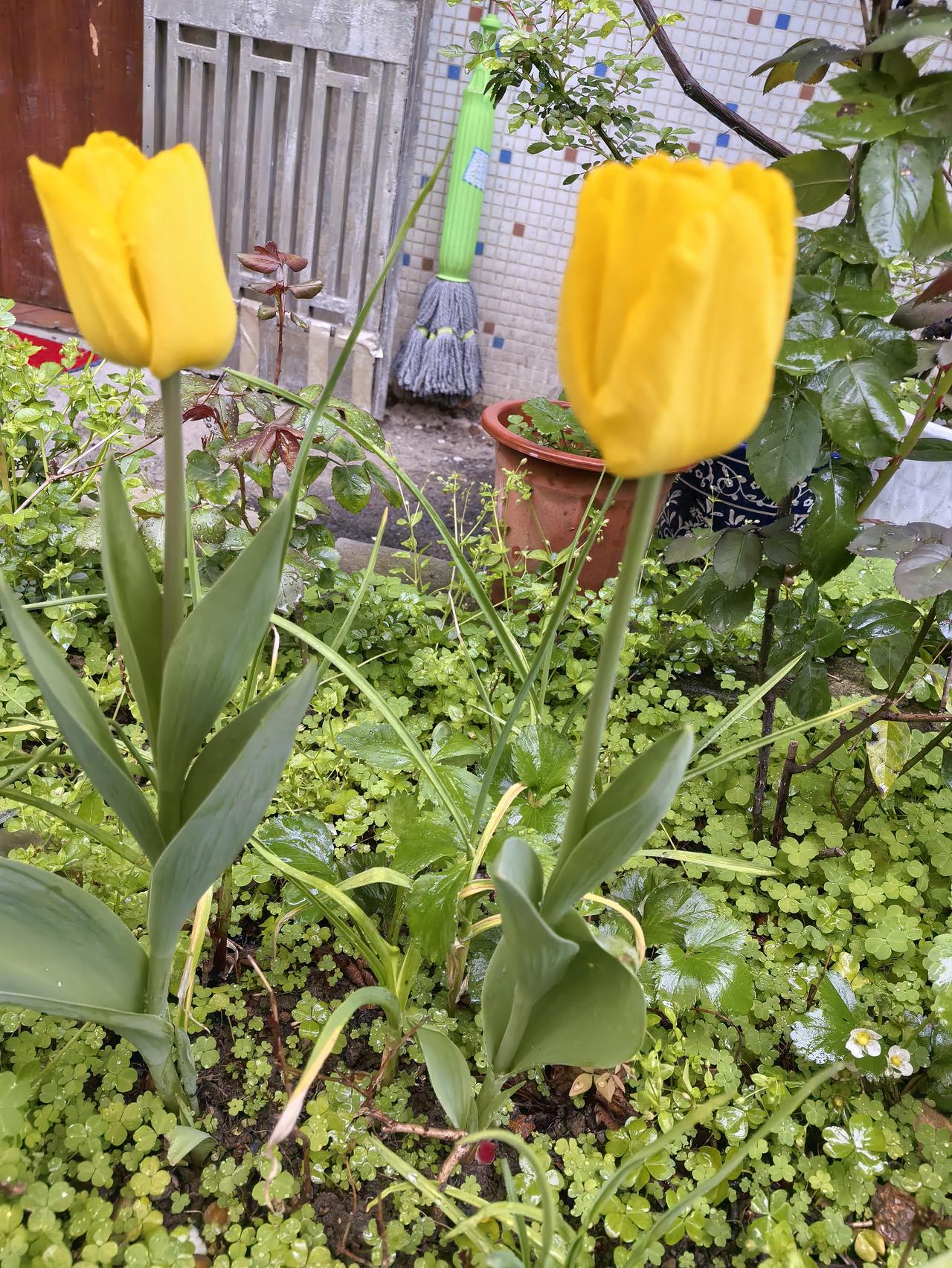 今天又和领导去门面收物业费，经理让我们都站在门口，店主服务员一脸怒火，说我们几个