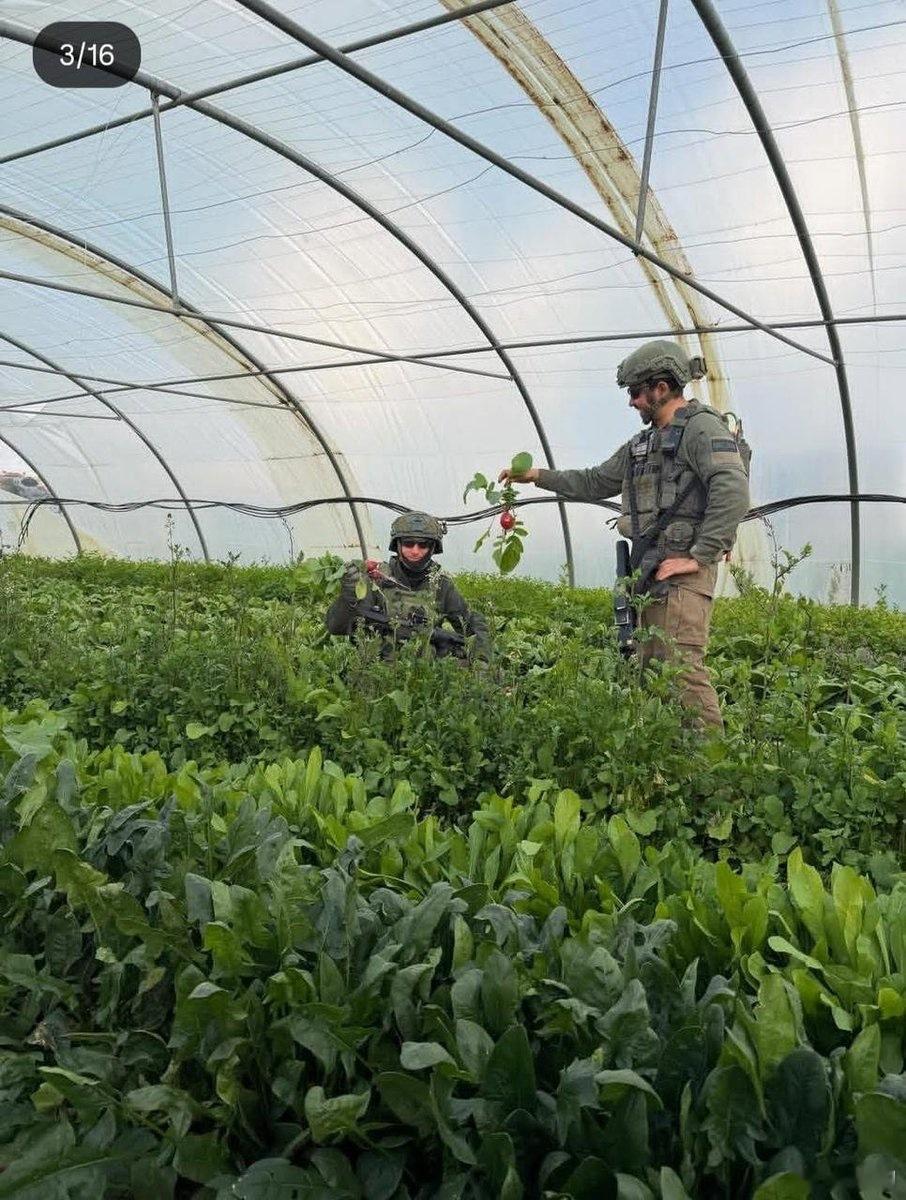 黎巴嫩南部纳巴提耶省的宾特杰拜勒镇，一张以色列女兵在一户黎巴嫩人家中厨房做饭的照