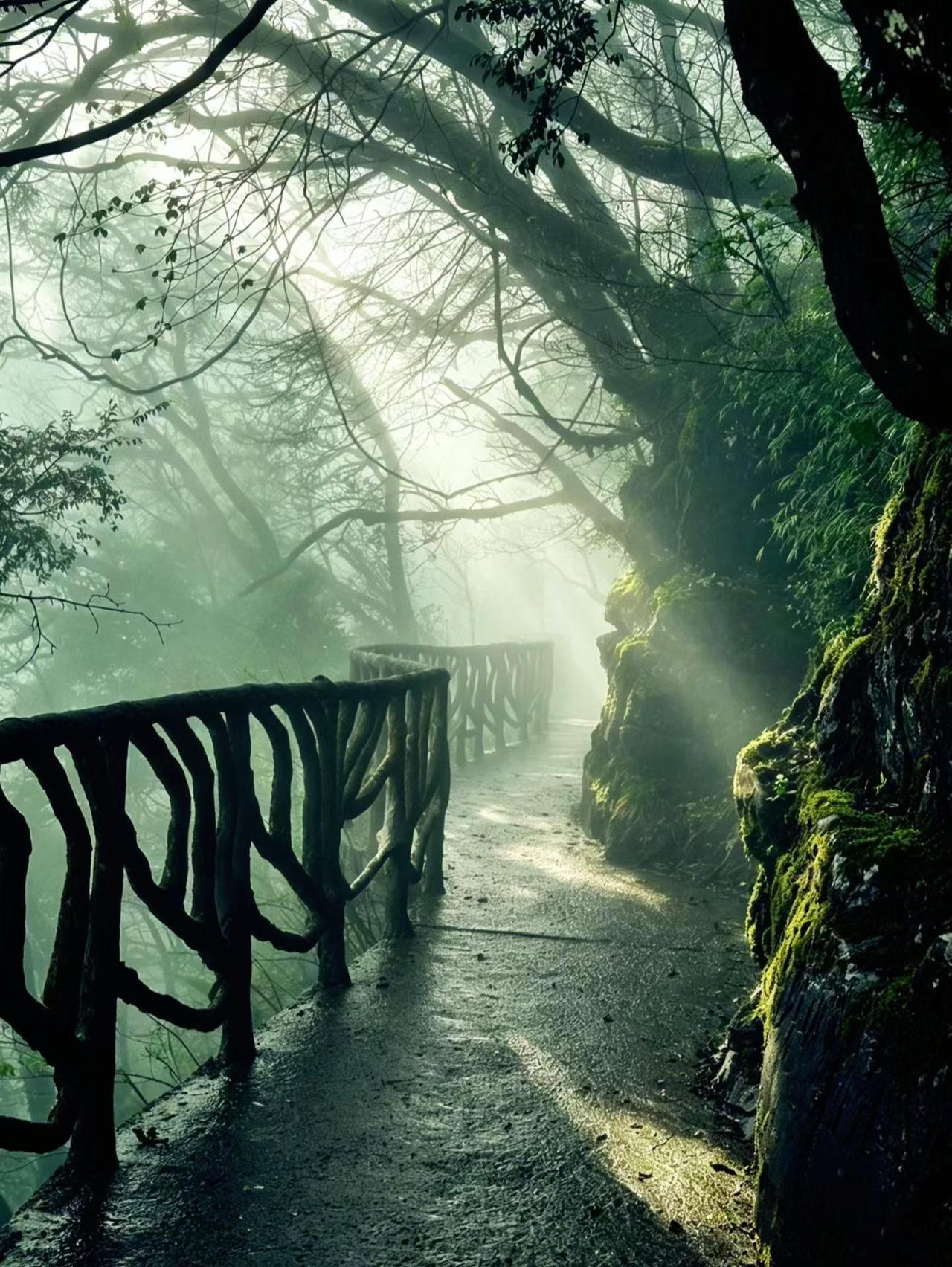 人没事，多往山里走走，特别是春天，吸收草木的灵气，呼吸负氧离子，洗涤心灵的污垢！