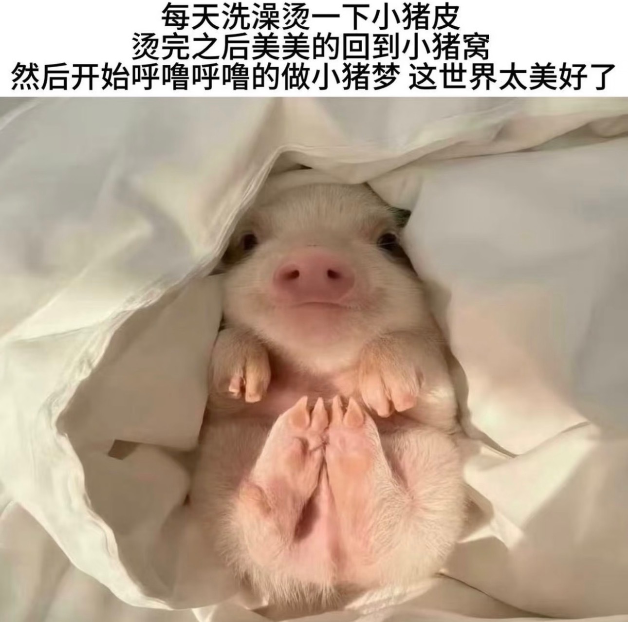 适儿就这样 洗香香然后涂上且初敷上瑷尔博士睡觉 ​​​