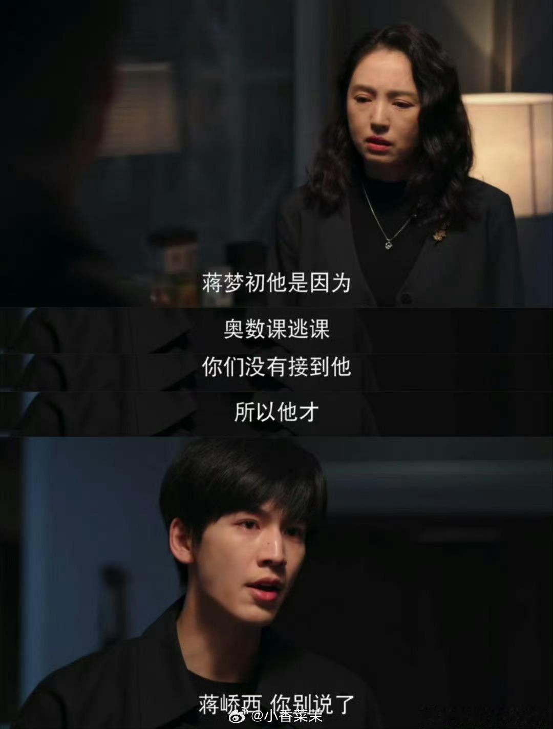 问题孩子是家里病得最轻的那个蒋峤西的“叛逆”是撕掉标签的挣扎。母亲用执念填伤痛，